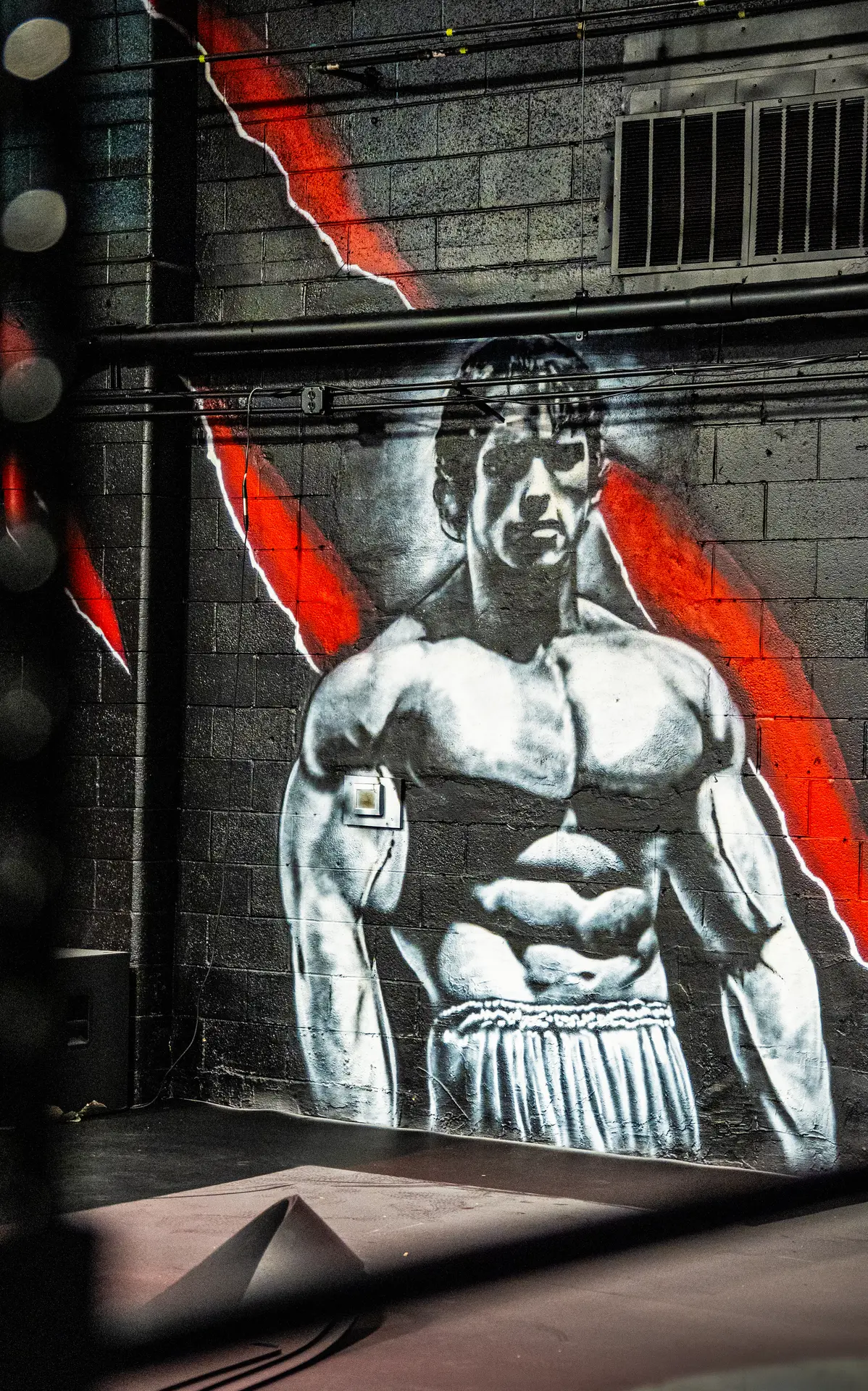 Hand-painted Arnold Schwarzenegger artwork on our wall