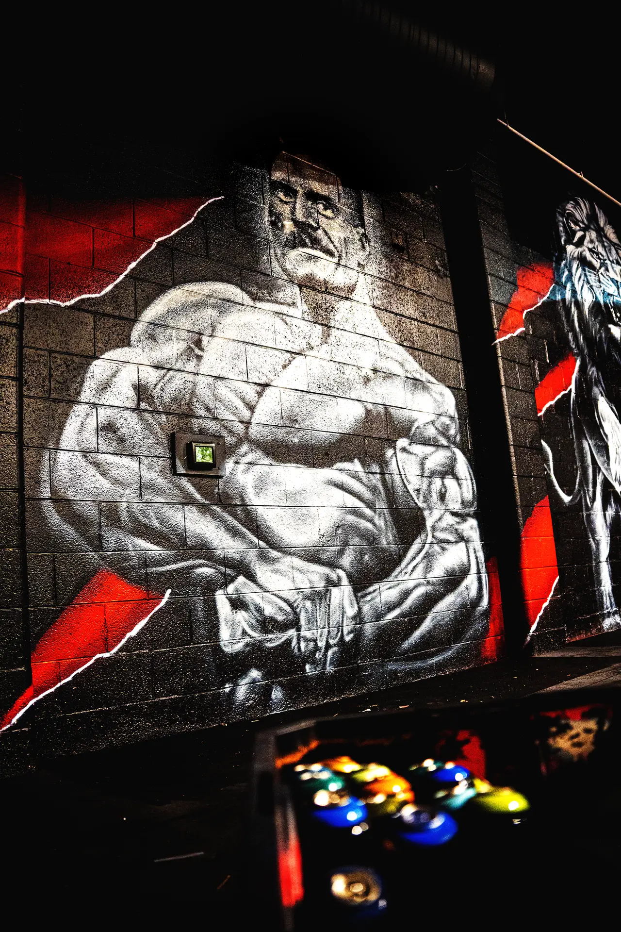 Hand-painted Chris Bumstead (CBum) artwork on our wall