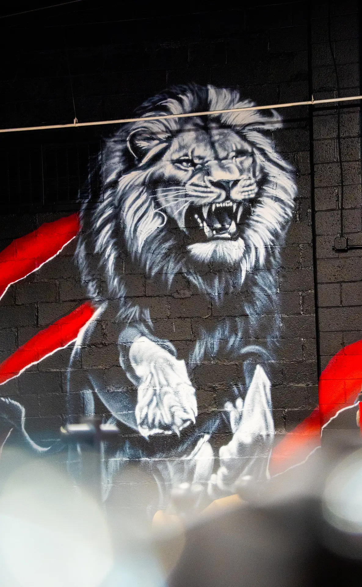 Hand-painted Lion artwork with scratch details on our wall