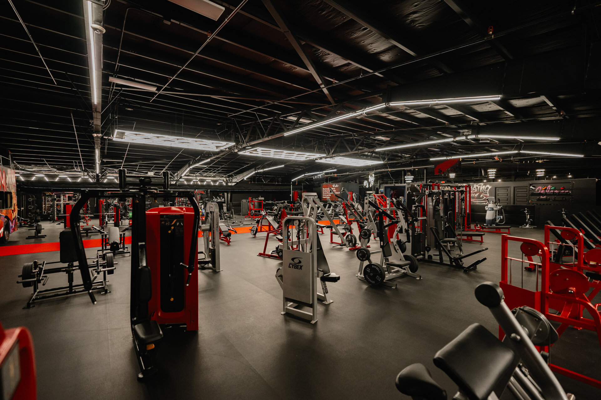 A wide variety of strength and free-weight equipment
